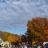 Stashin' at Rhinebeck