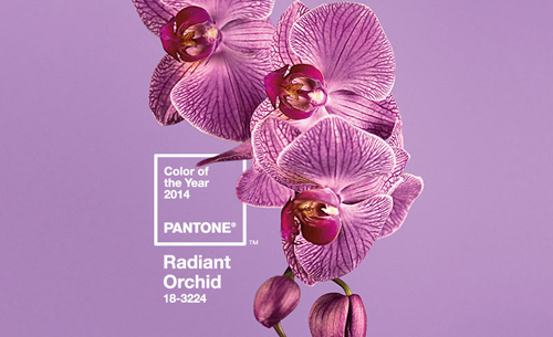 Color of the Year 2014 Radiant Orchid | The Knittting Vortex