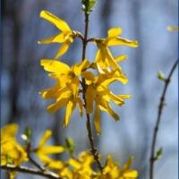 Wordless Wednesday 4.17.2013