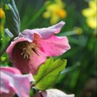 Wordless Wednesday 4.10.2013