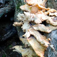 Wordless Wednesday 9.4.2013