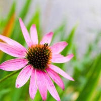 Wordless Wednesday 7.31.2013