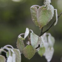 Wordless Wednesday 5.15.2013