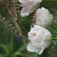 Wordless Wednesday 5.1.2013